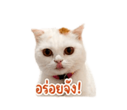 854300469