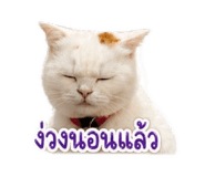 854300470