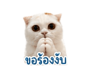 854300472