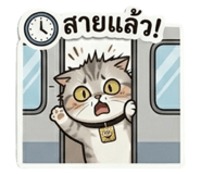 854302063
