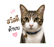 854302105