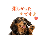 854310379