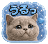 854312853