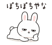854314146
