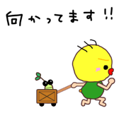 854314657