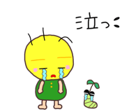 854314664
