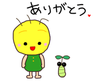 854314667