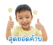 854316629