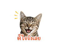 854322396