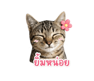 854322406
