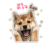854323830