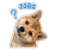 854323842