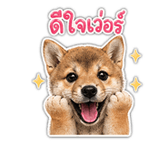 854323845