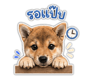 854323847