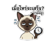 854323866
