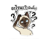 854323870