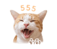 854323989