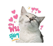 854325773