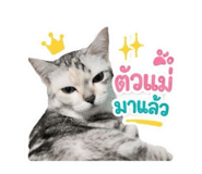 854325777