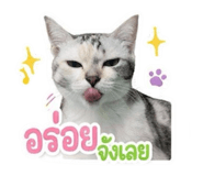 854325778
