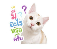 854325782