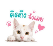 854325784