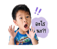 854327950