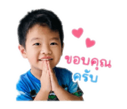 854327955
