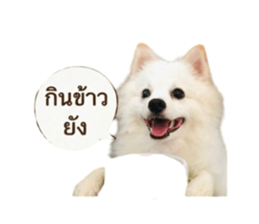 854329851
