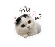854330811