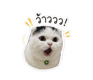854330812