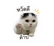 854330813
