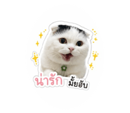 854330815