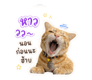 854331122