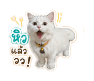 854331126