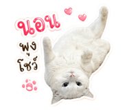 854331134