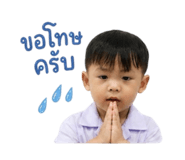 854331211