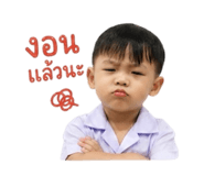 854331216