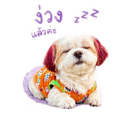 854331870