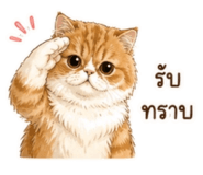 854332906