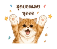 854332911