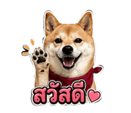 854332929