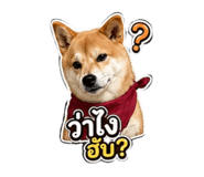 854332931