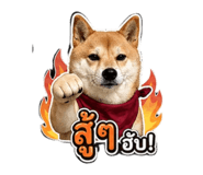 854332933