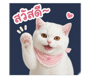 854334033