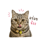 854334155