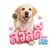 854335233