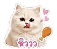 854336713
