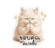 854336717