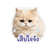 854336719